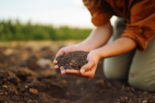 Do Bagaço ao Adubo: Como Reaproveitar Resíduos da Produção de Cerveja